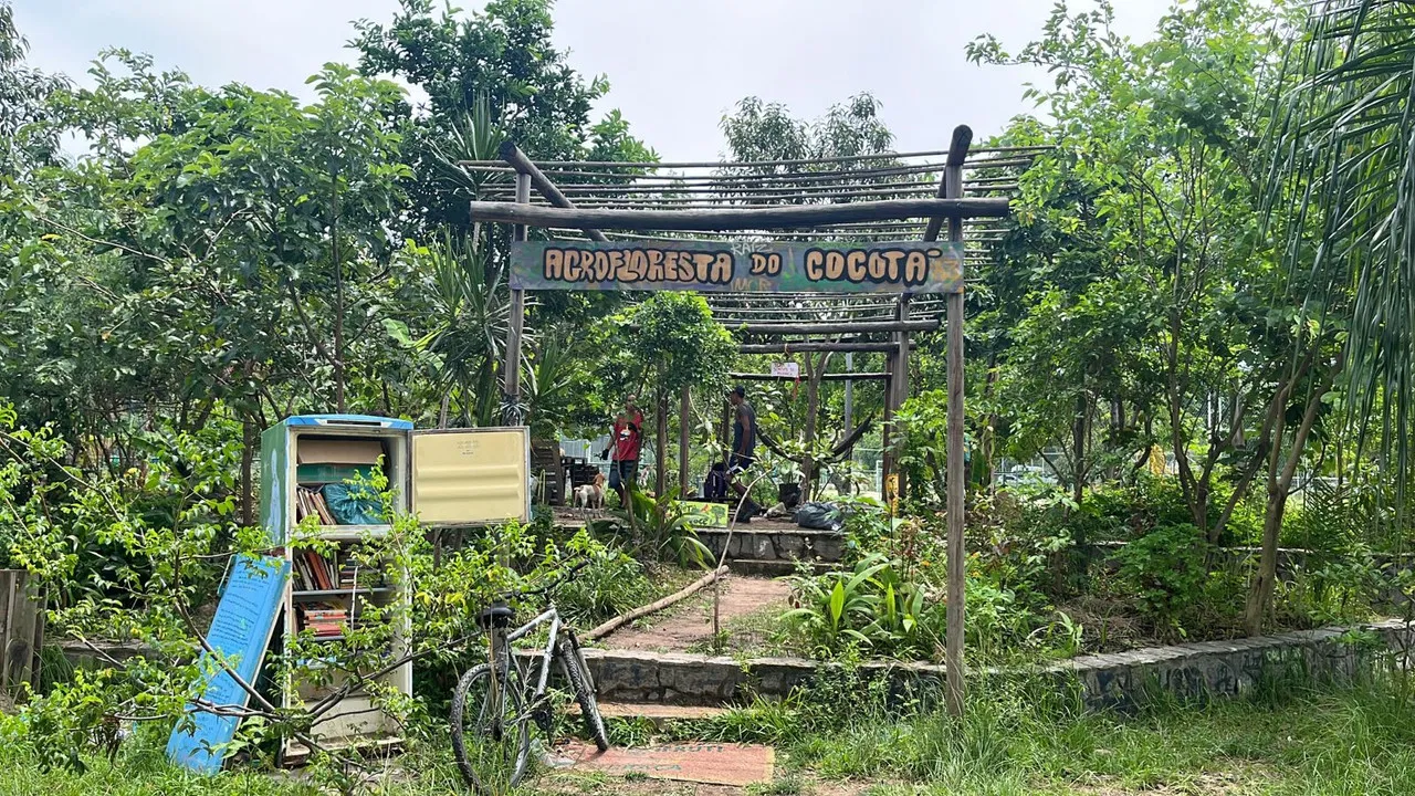 Curta Agrofloresta do Cocotá backdrop