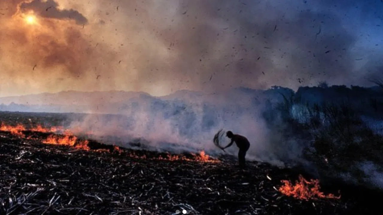Brûlé neige backdrop