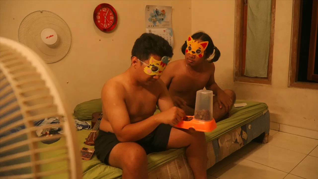 We Need More Fans in Summer ! backdrop