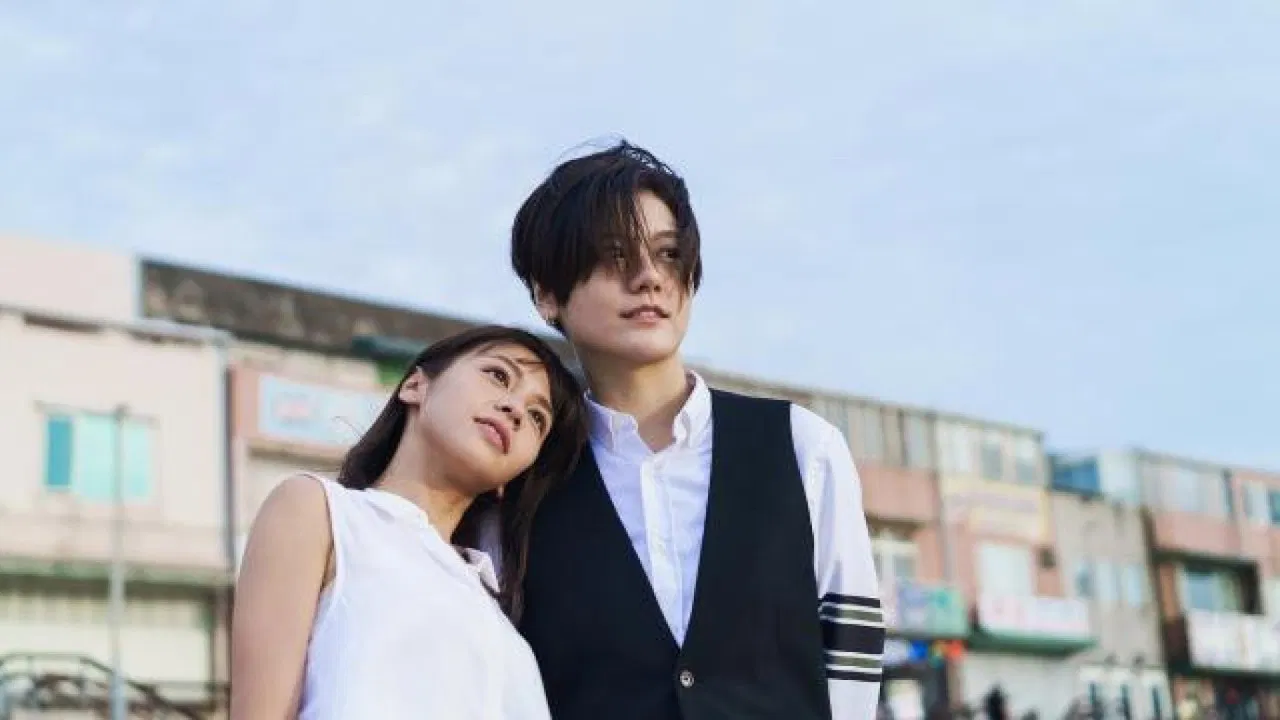 Handsome Stewardess backdrop