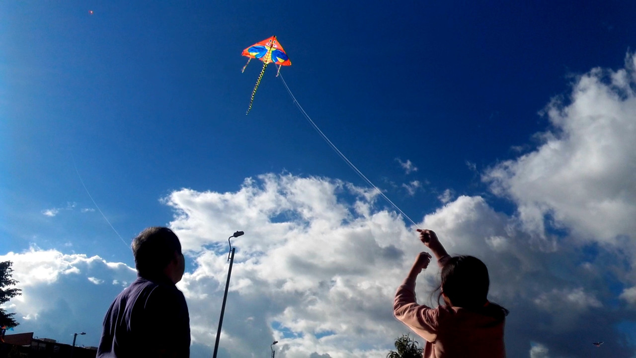flying a kite backdrop