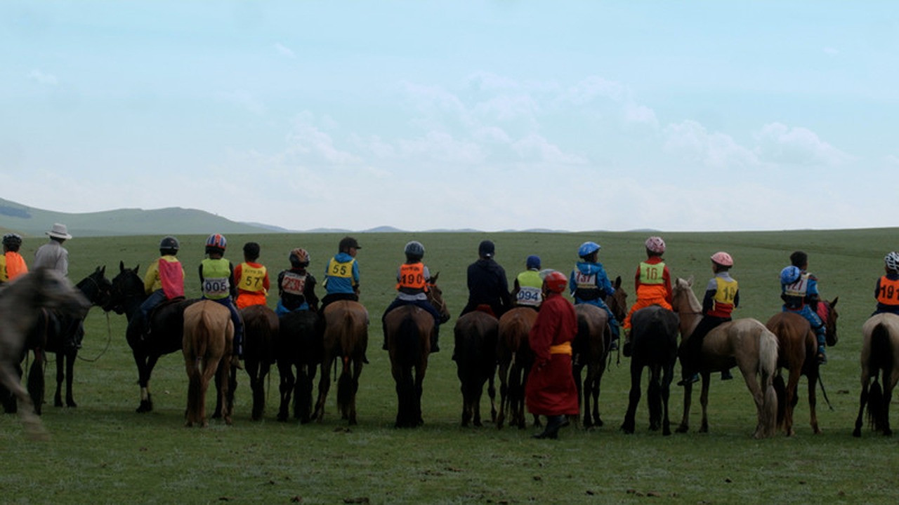 White Grass backdrop