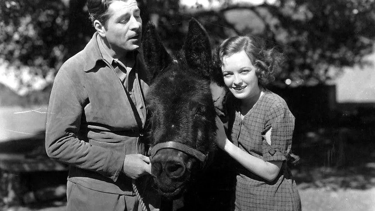 Amateur Daddy backdrop