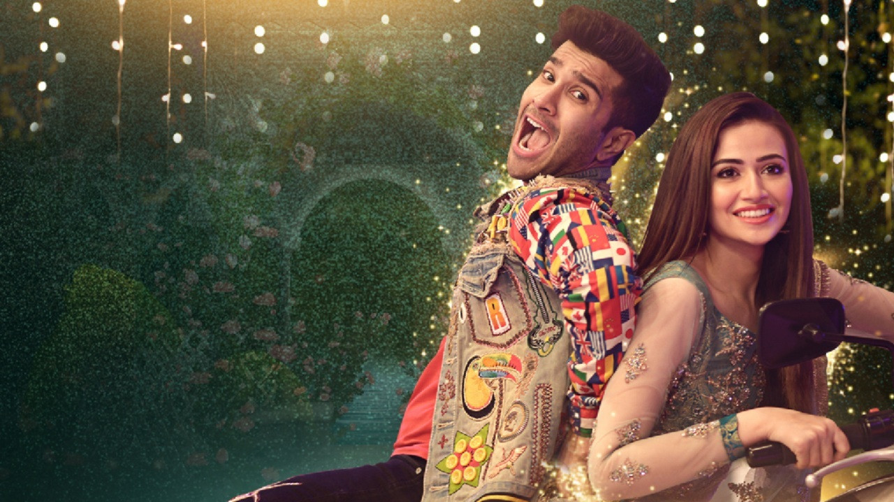 Romeo Weds Heer backdrop