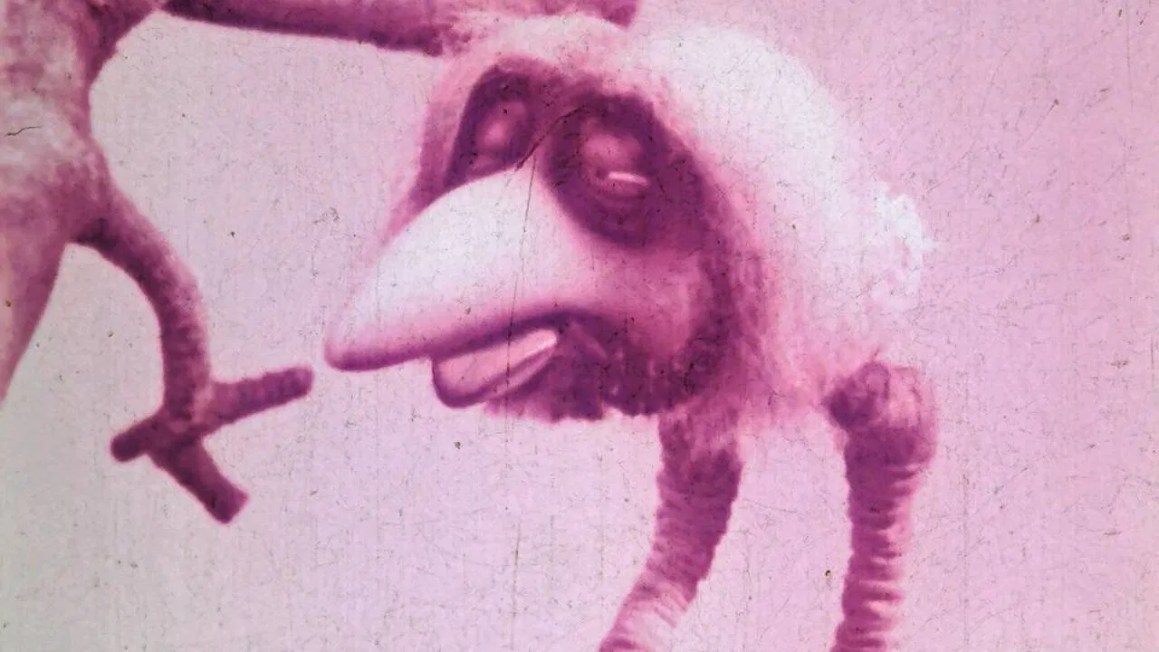 Even a Horse Must Laugh backdrop