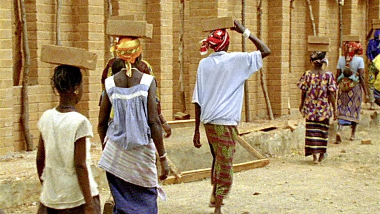 In Comparison backdrop