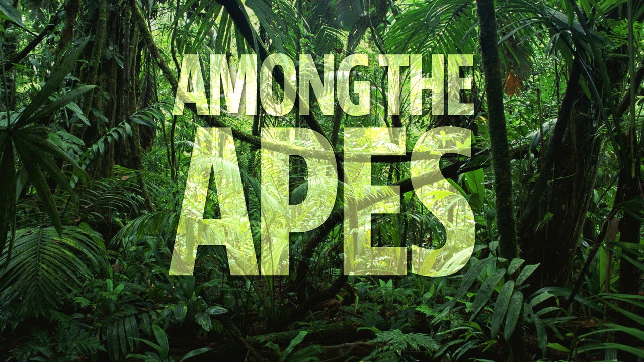 Among the Apes backdrop