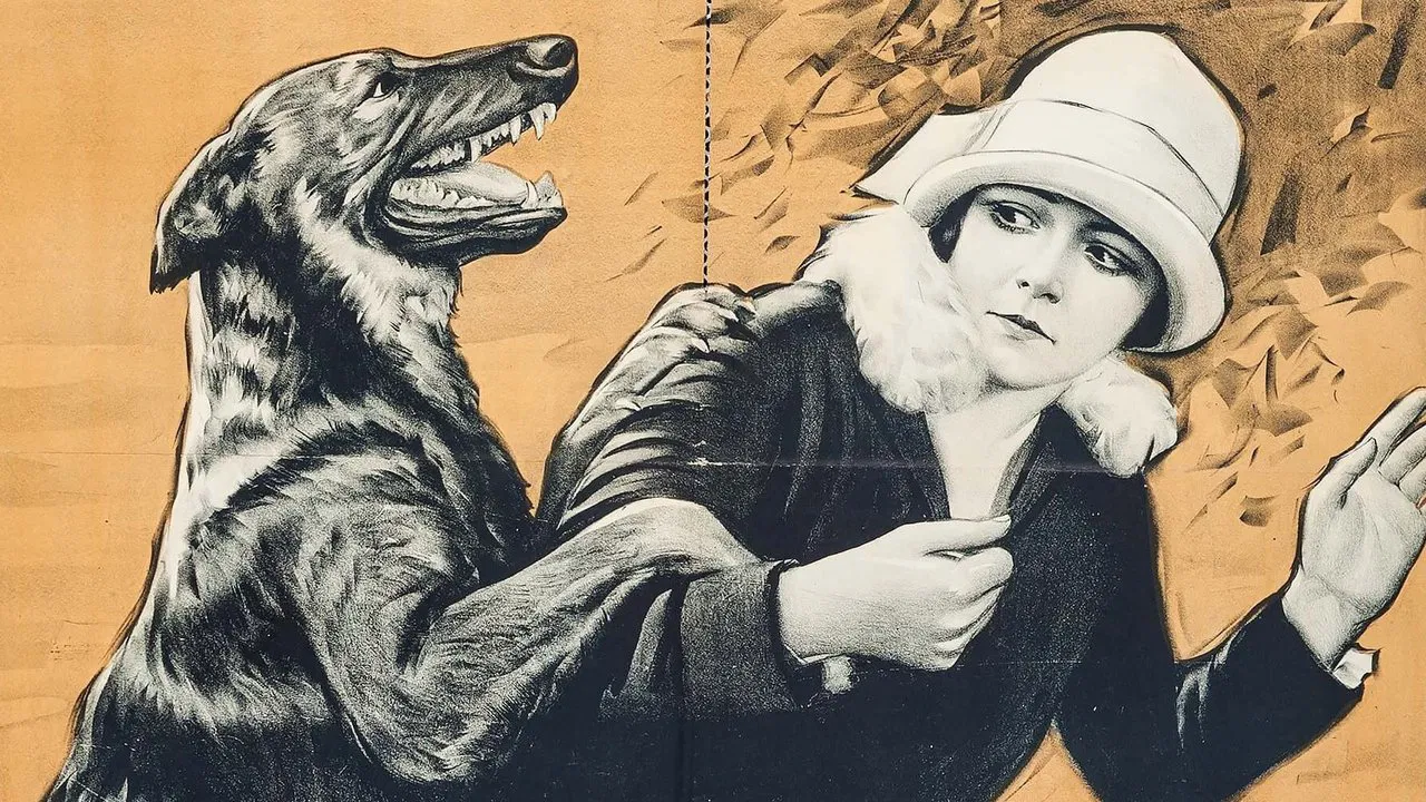 A Dumb Romeo backdrop