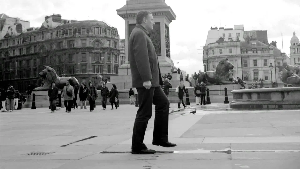 Stochastics backdrop