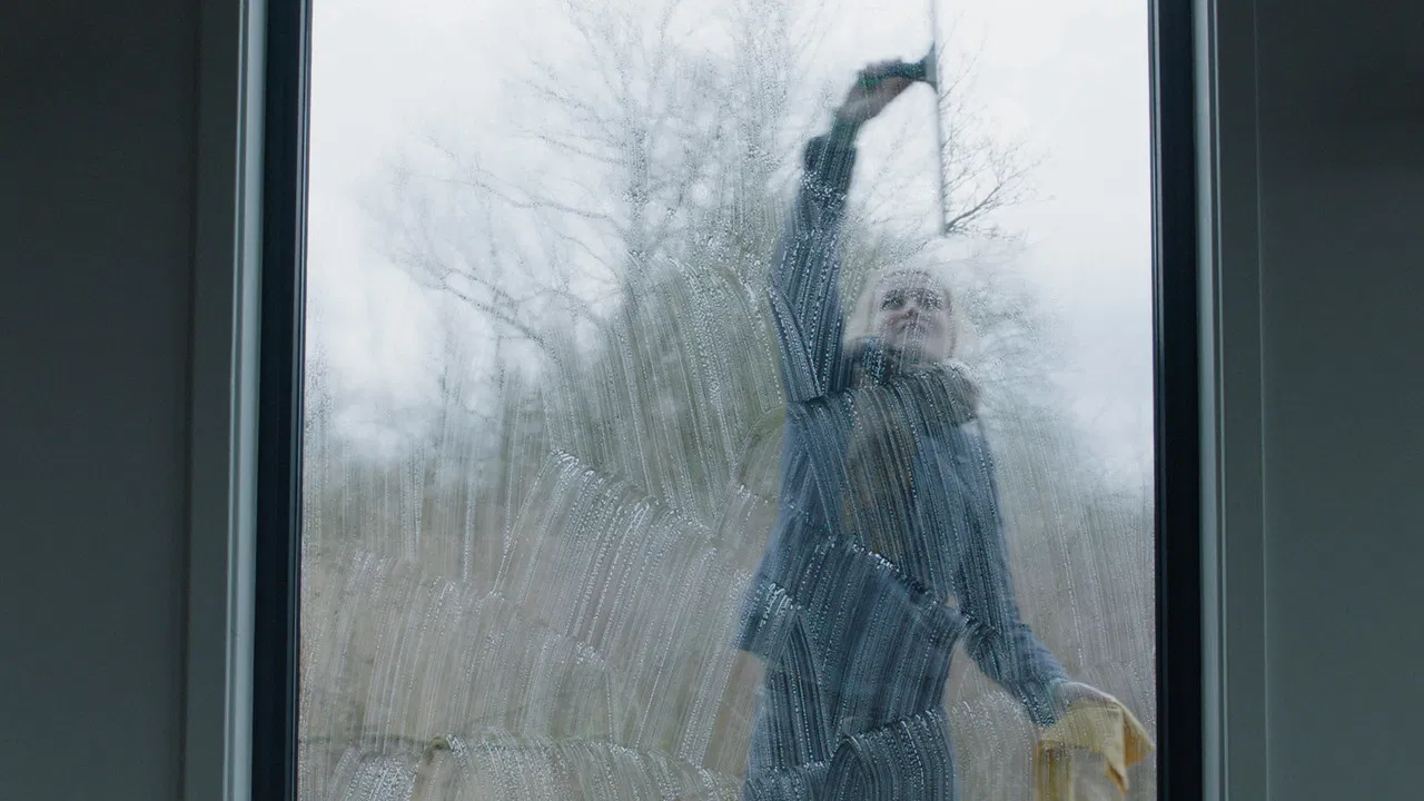 We, The Clean backdrop