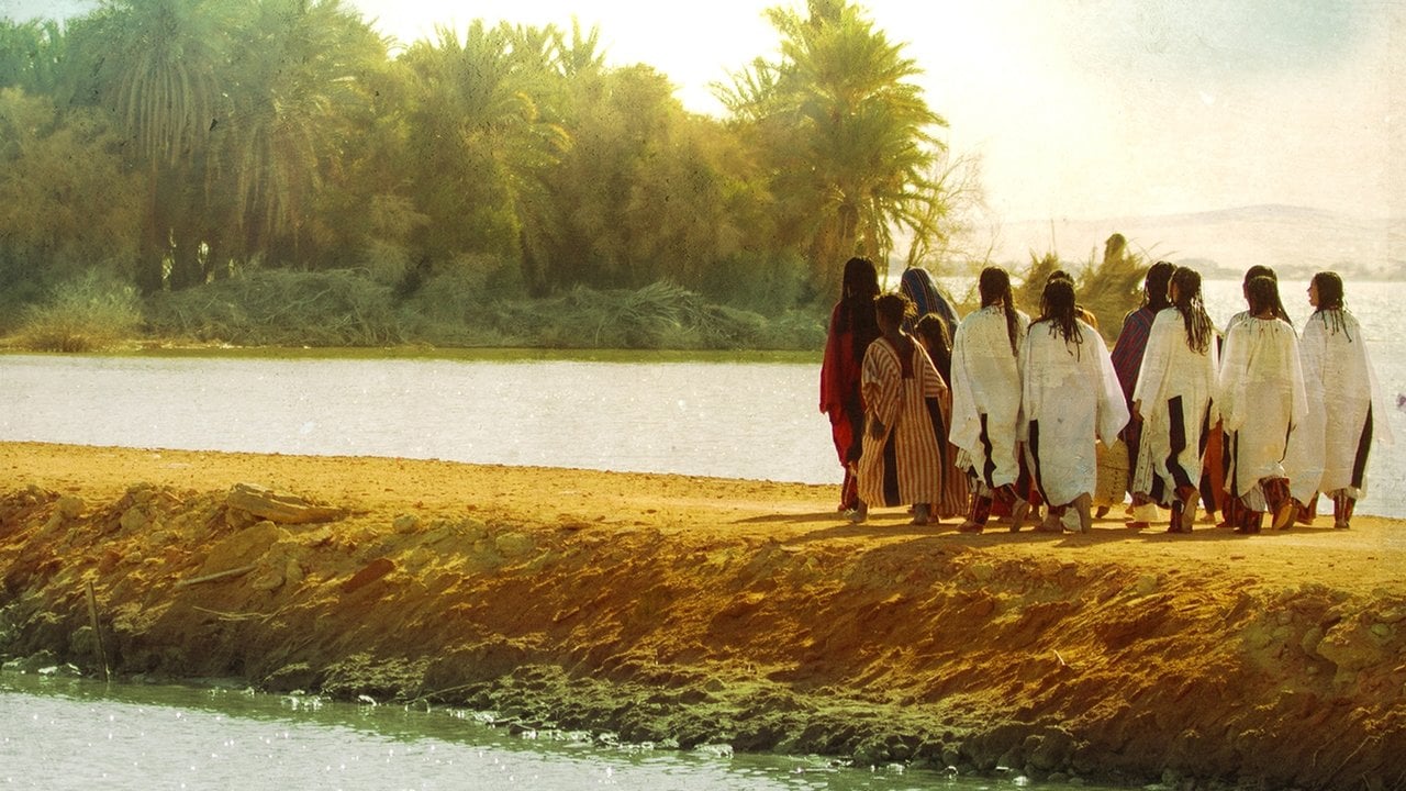 Sunset Oasis backdrop