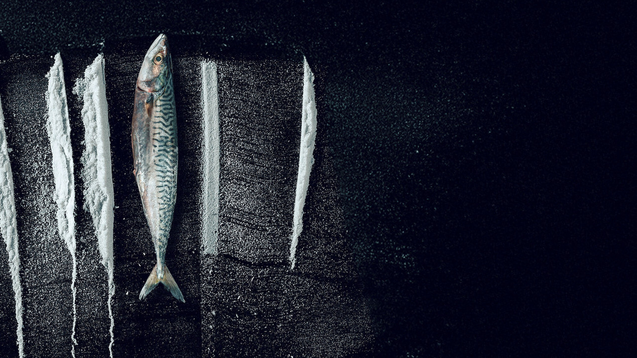 Turn of the Tide: The Surreal Story of Rabo de Peixe backdrop