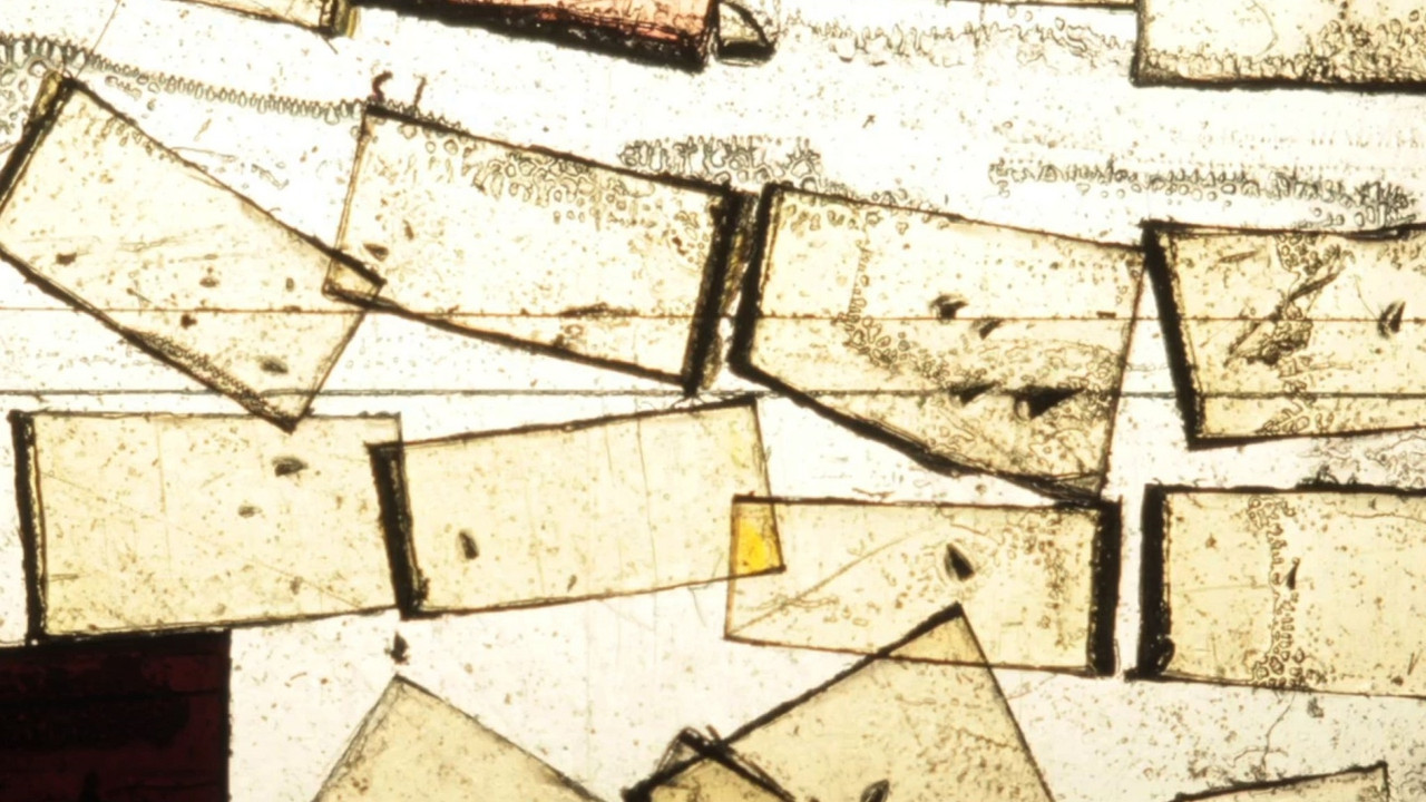 A Black Screen Too backdrop