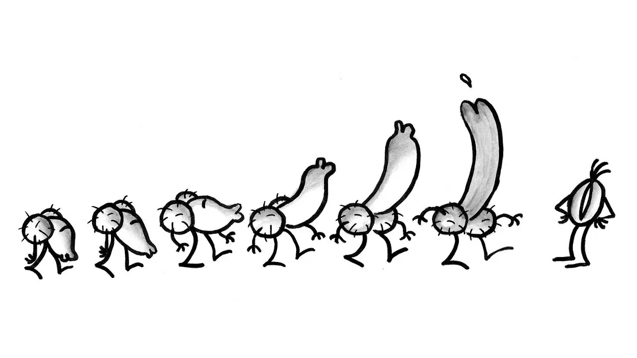 Pene e Vagina backdrop