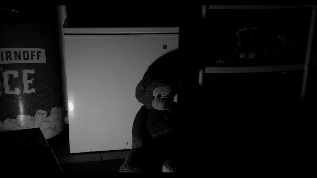 Bear in Hell backdrop