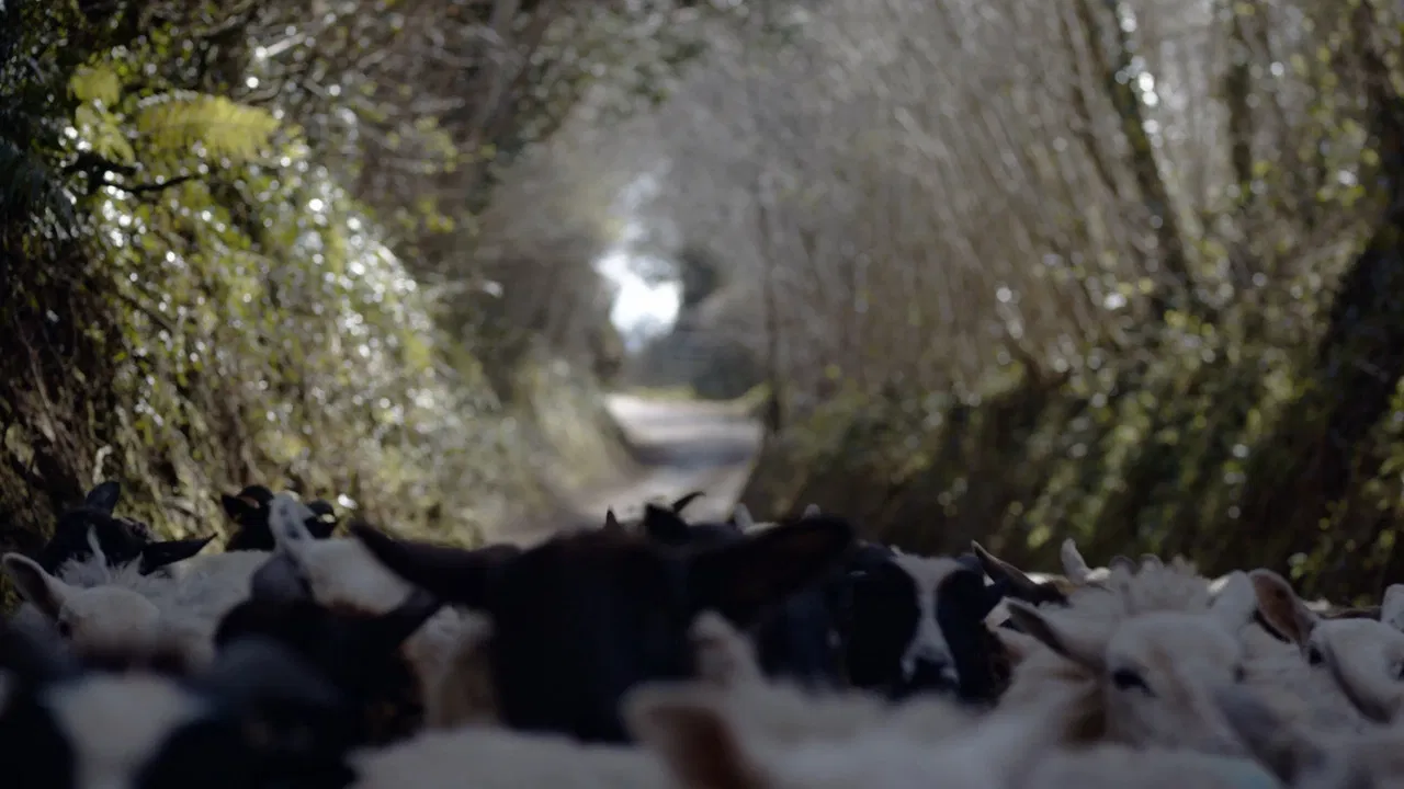 The Gentleman Farmer backdrop