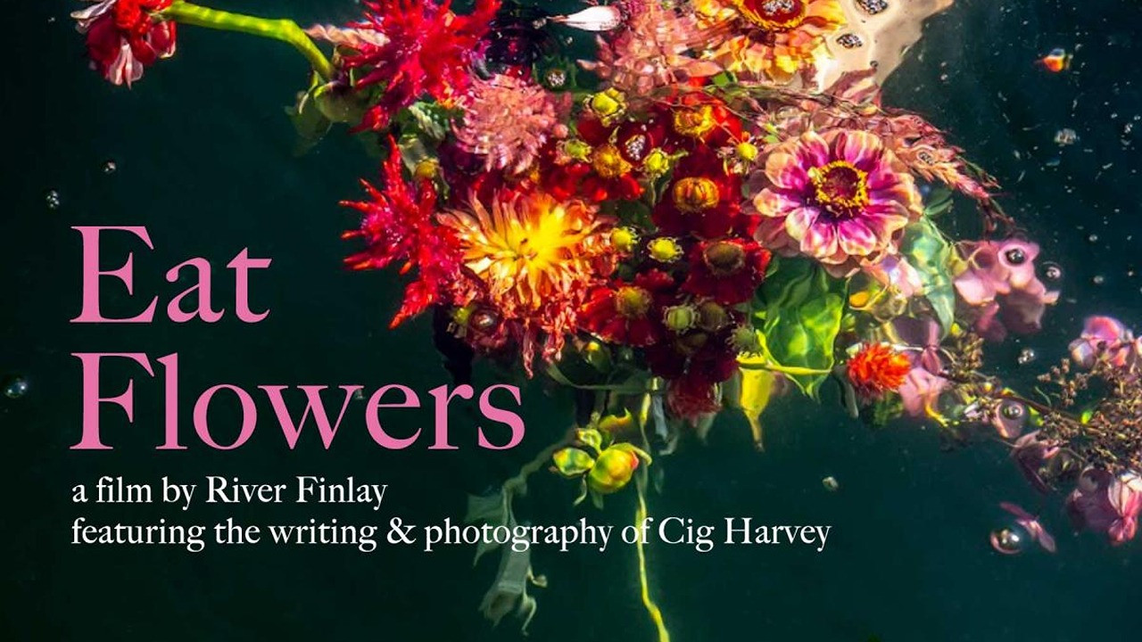 Eat Flowers backdrop