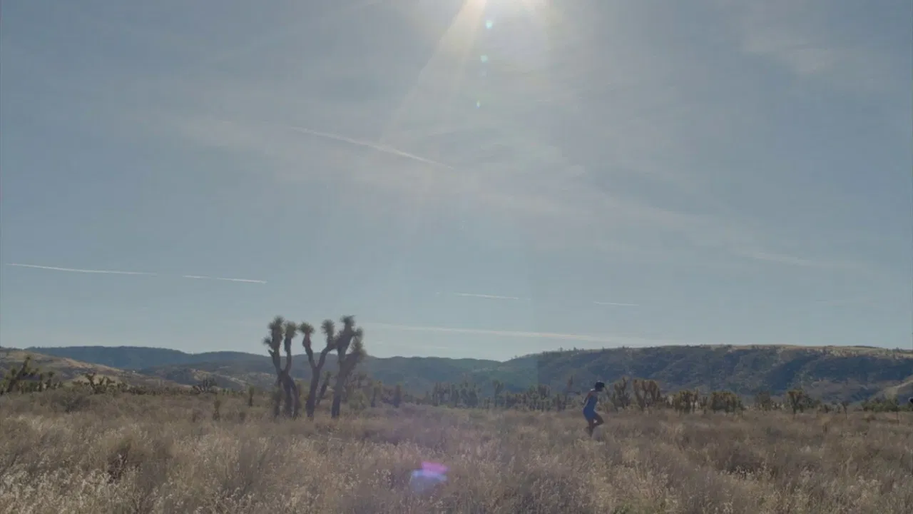 Afro-Woman: 2016 CE backdrop