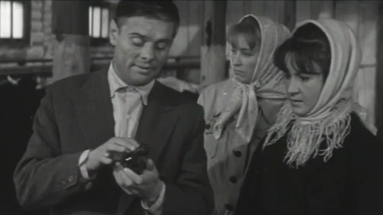 Встречи на рассвете backdrop