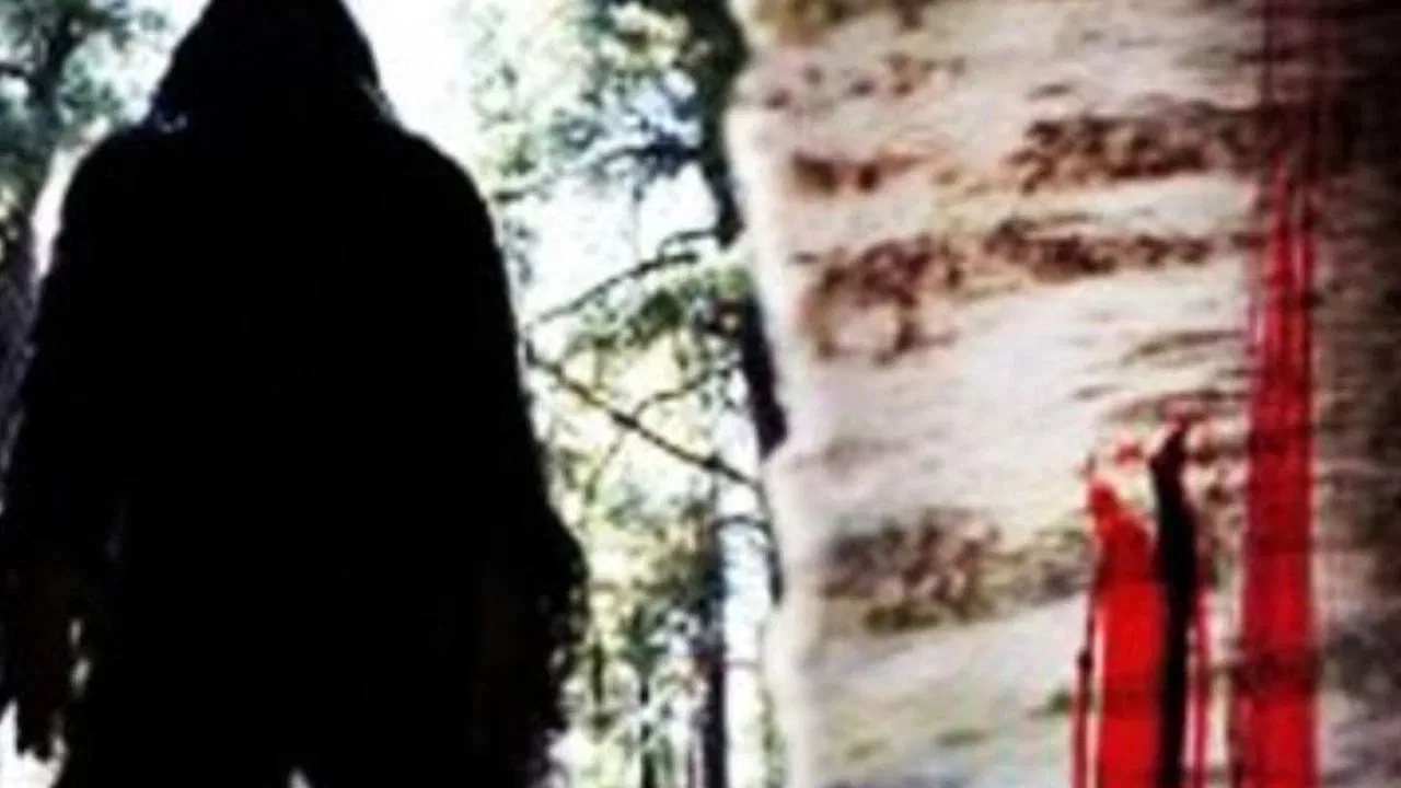 Sasquatch Mountain backdrop