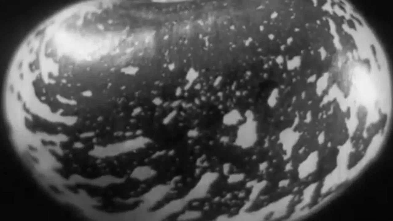 Scarlet Runner & Co backdrop