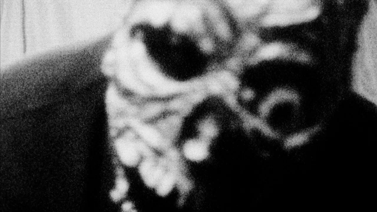 Sincerely Saul backdrop