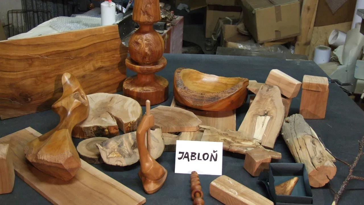 Kus dřeva ze stromu backdrop