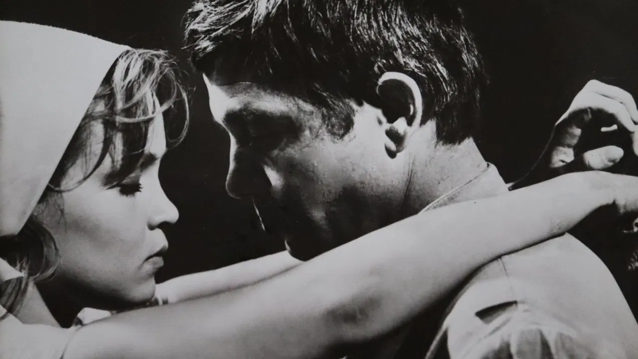 Men Are Greying Young backdrop