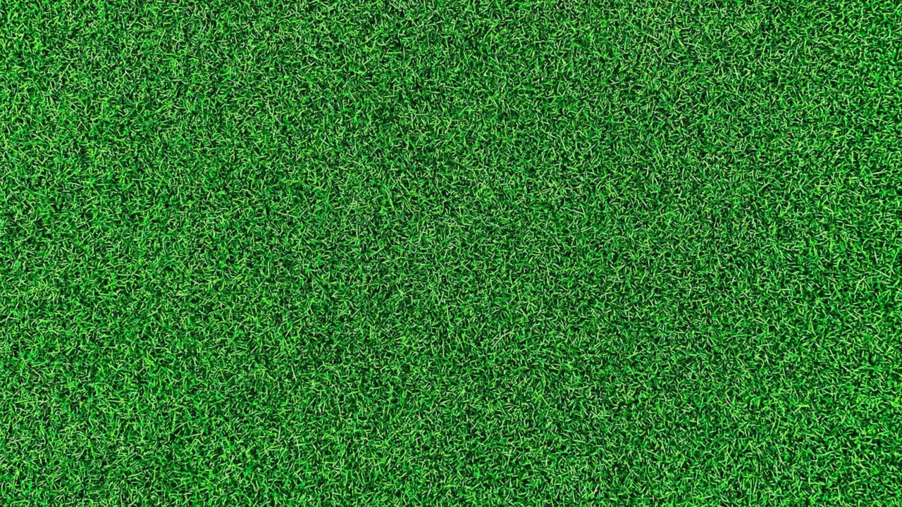 Life on the Green backdrop