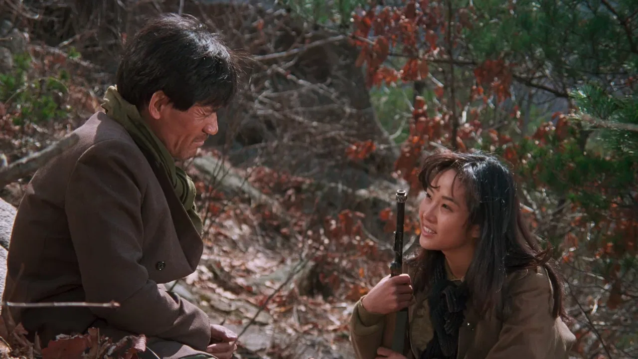 North Korean Partisan in South Korea backdrop