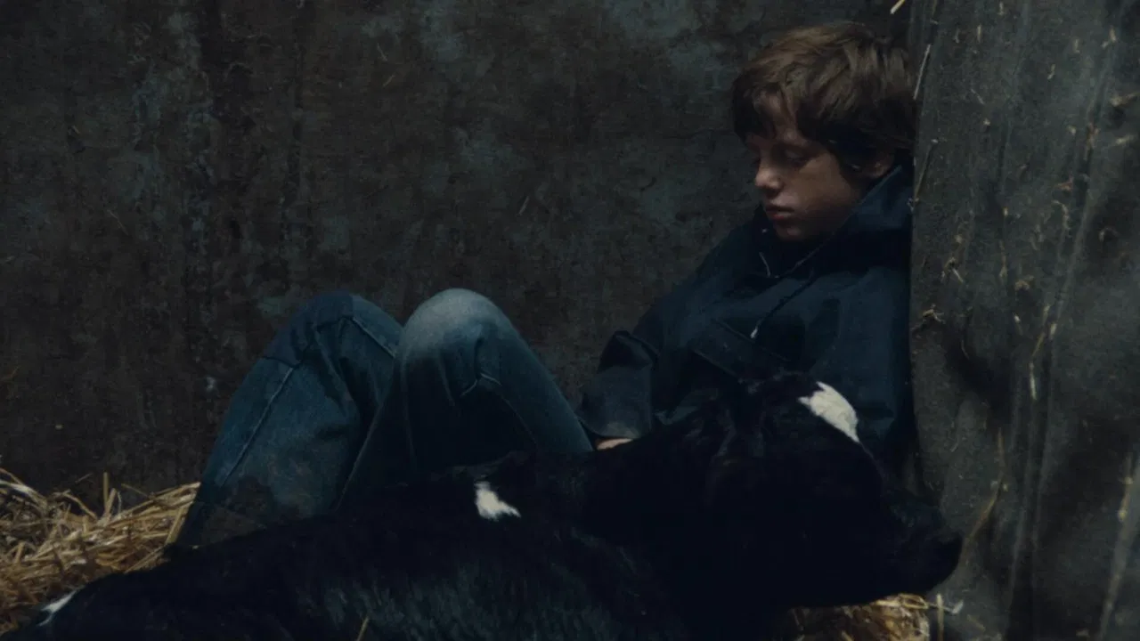 Voltati Eugenio backdrop