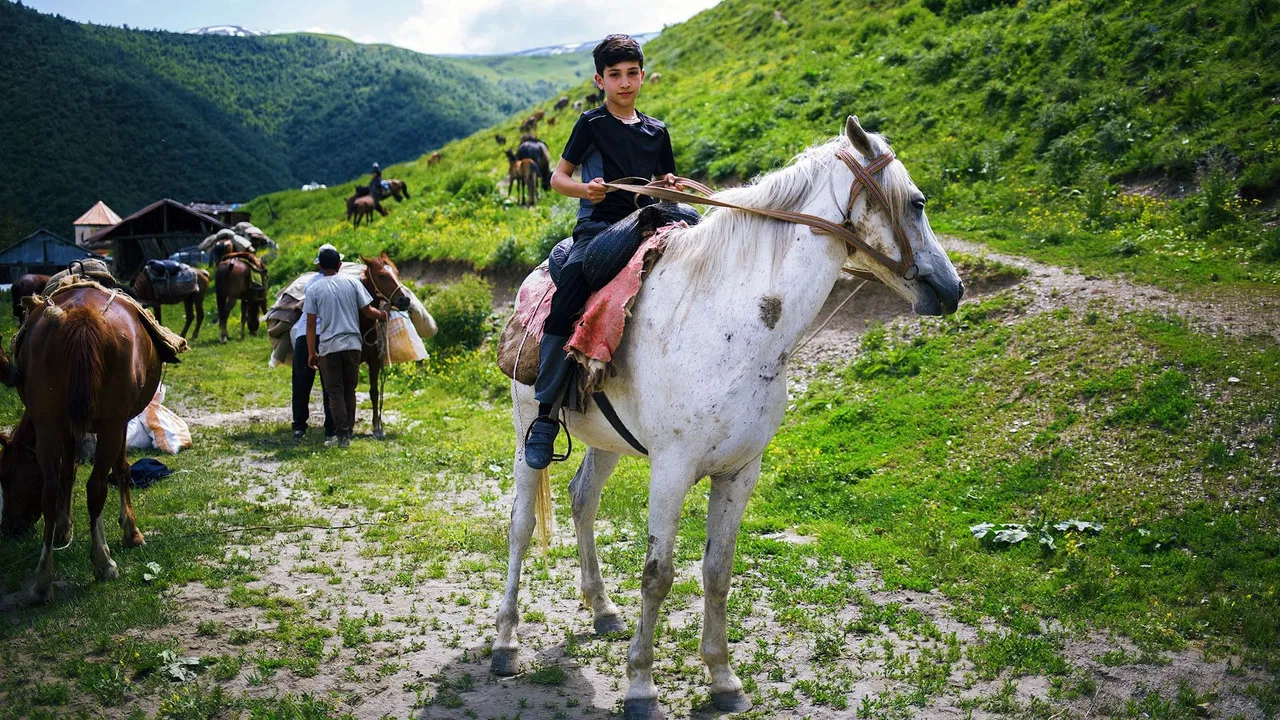 Ein halbes Leben in Tuschetien backdrop