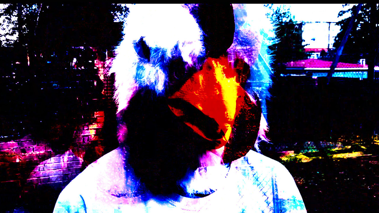 Why he got a chicken on his head? backdrop