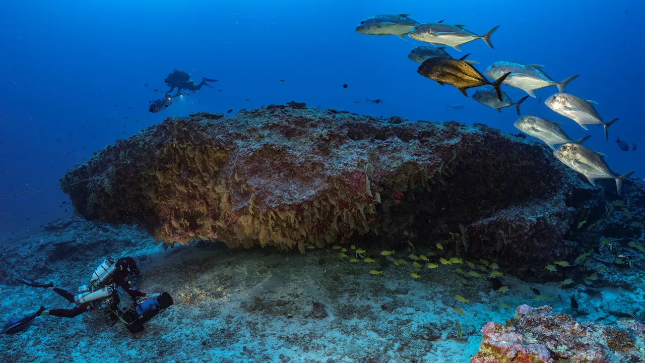 The mysteries of Mont La Pérouse backdrop