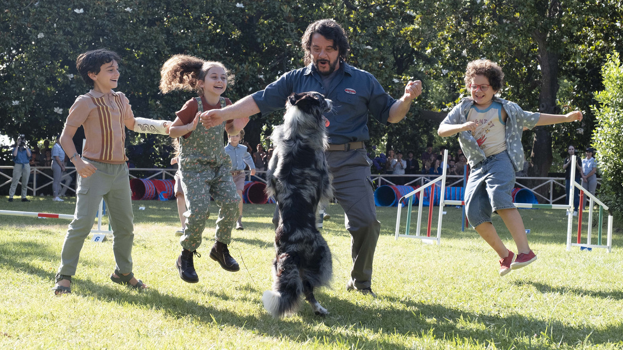 The Trainers backdrop
