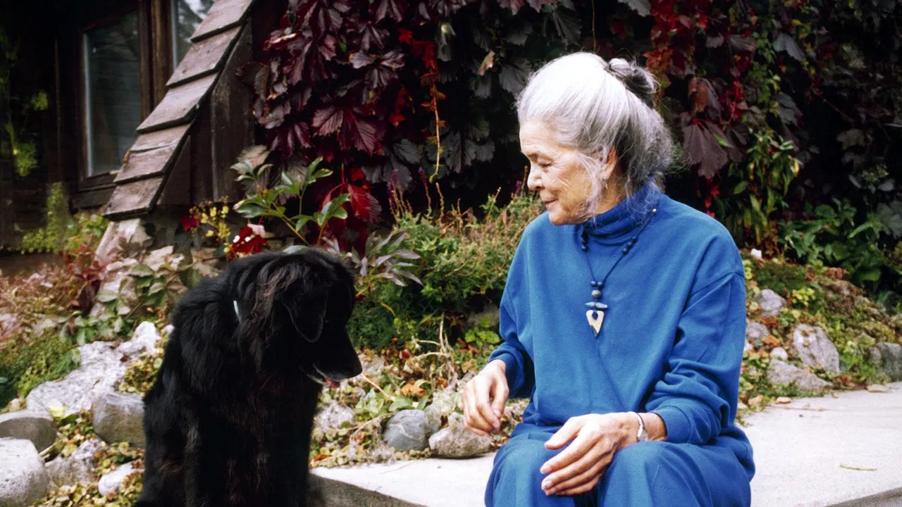 Kathleen Shannon: On Film, Feminism & Other Dreams backdrop