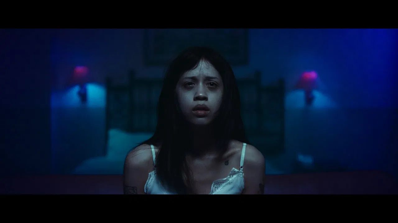 Maya's Phenomenon backdrop