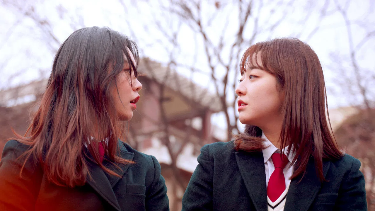 Graduation, Present + Propose backdrop