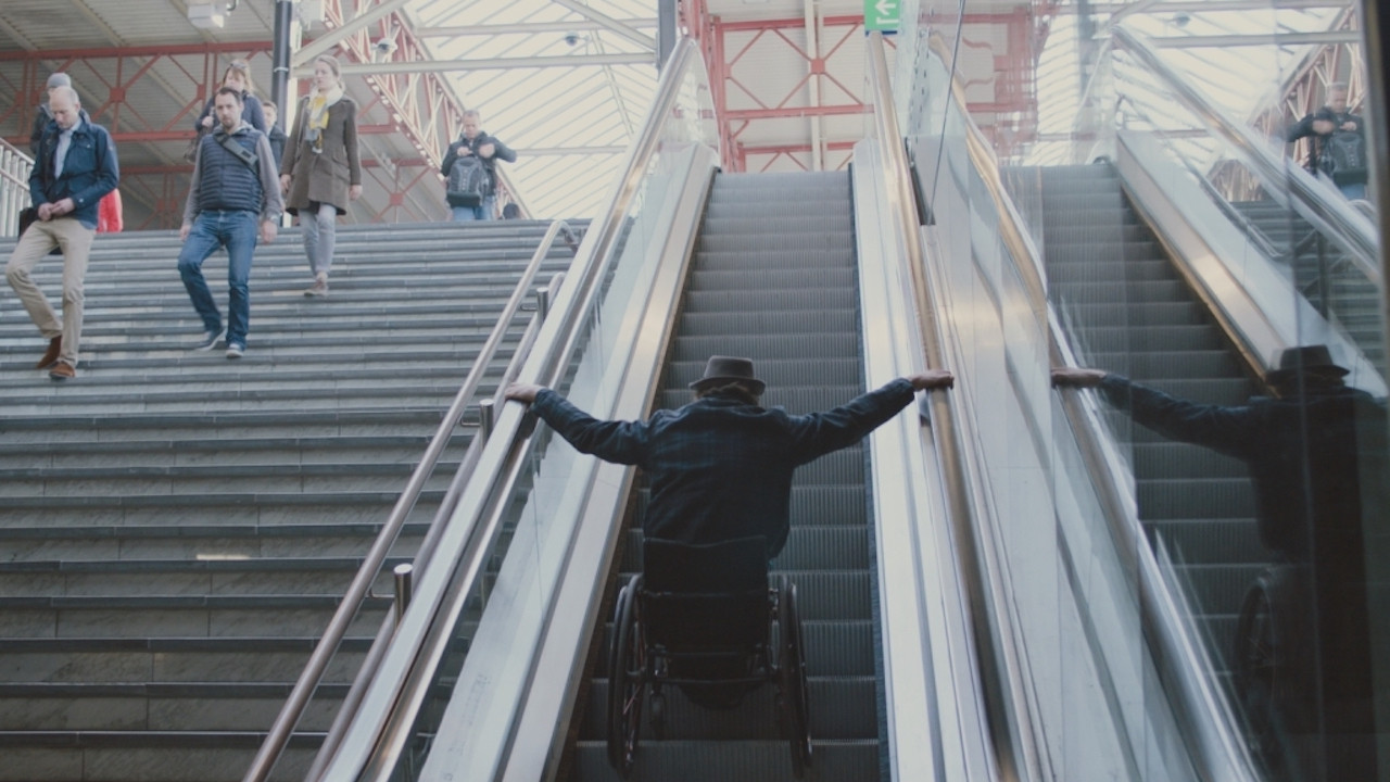 80% Disabled backdrop