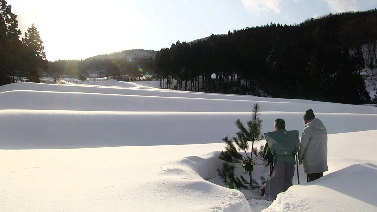 The Genealogy of Sake backdrop