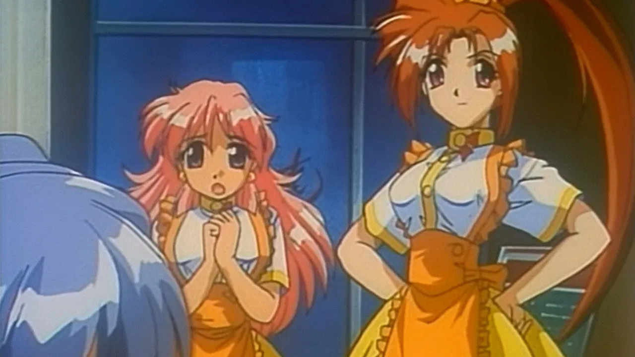 Welcome to Pia Carrot backdrop