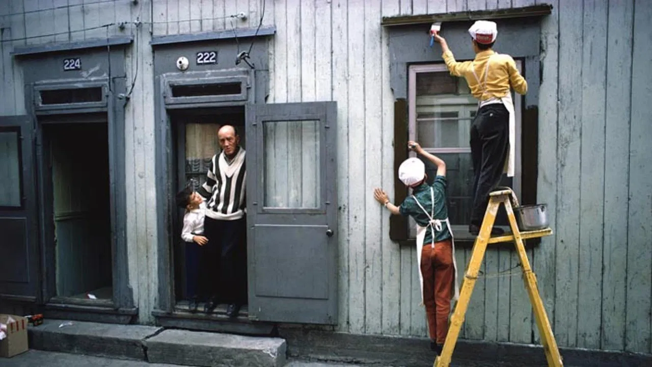 Les fleurs c'est pour Rosemont backdrop