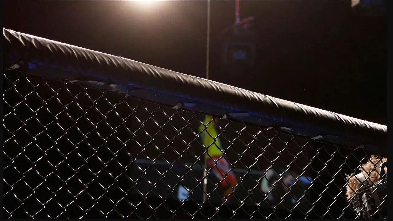 KSW za kulisami backdrop