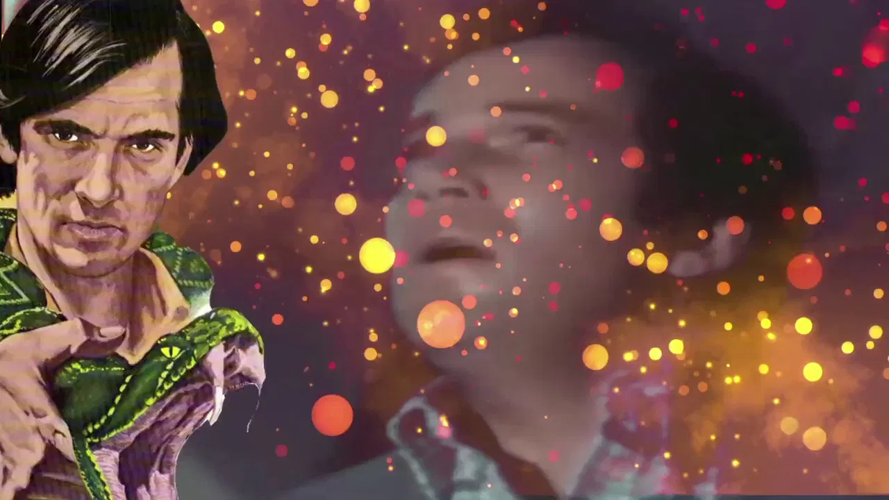 Blood, Guts and Sunshine: The History of Horror Made in Florida backdrop