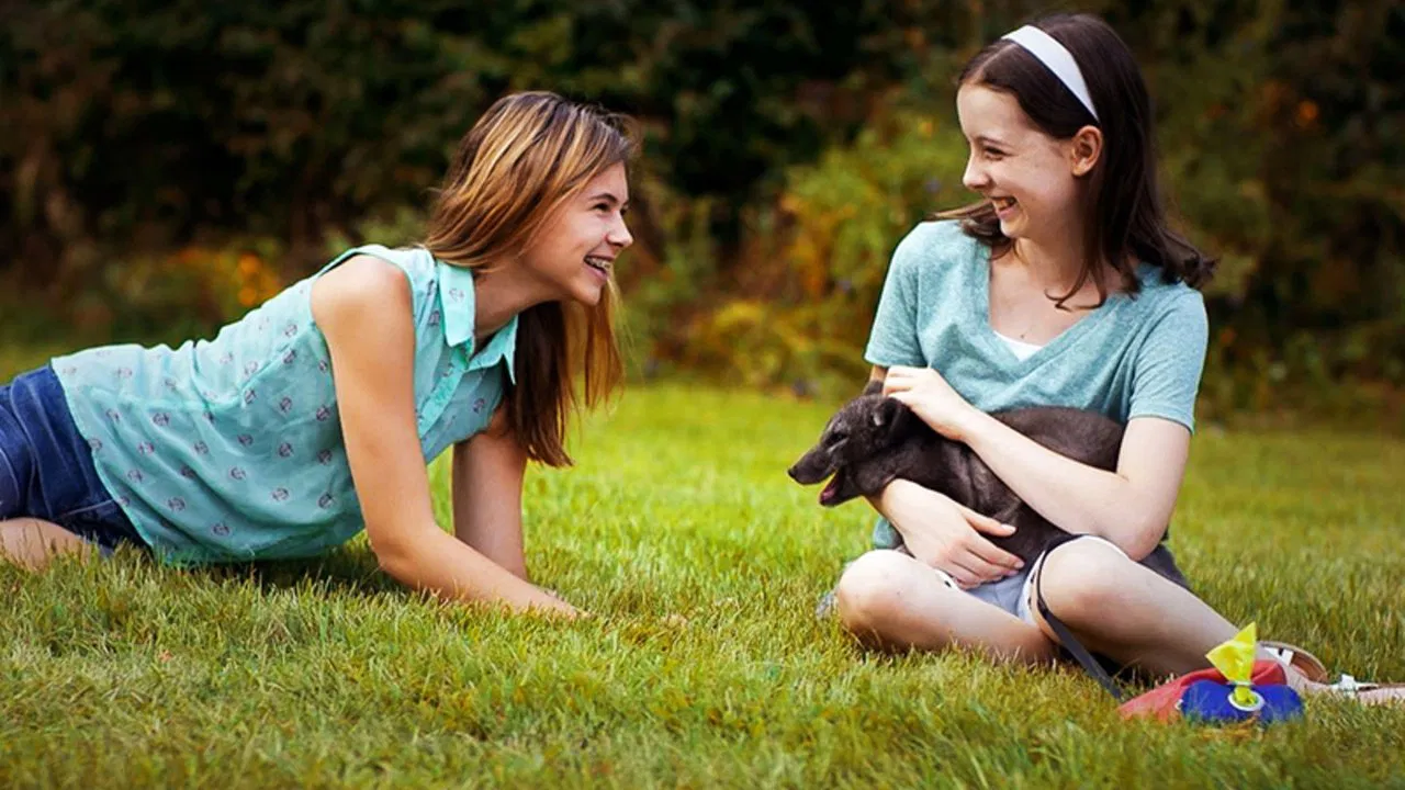 Amanda and the Fox backdrop