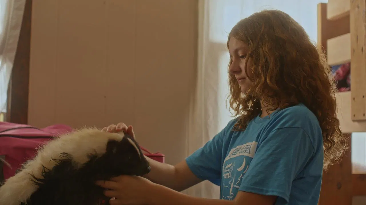 Stinky Summer backdrop