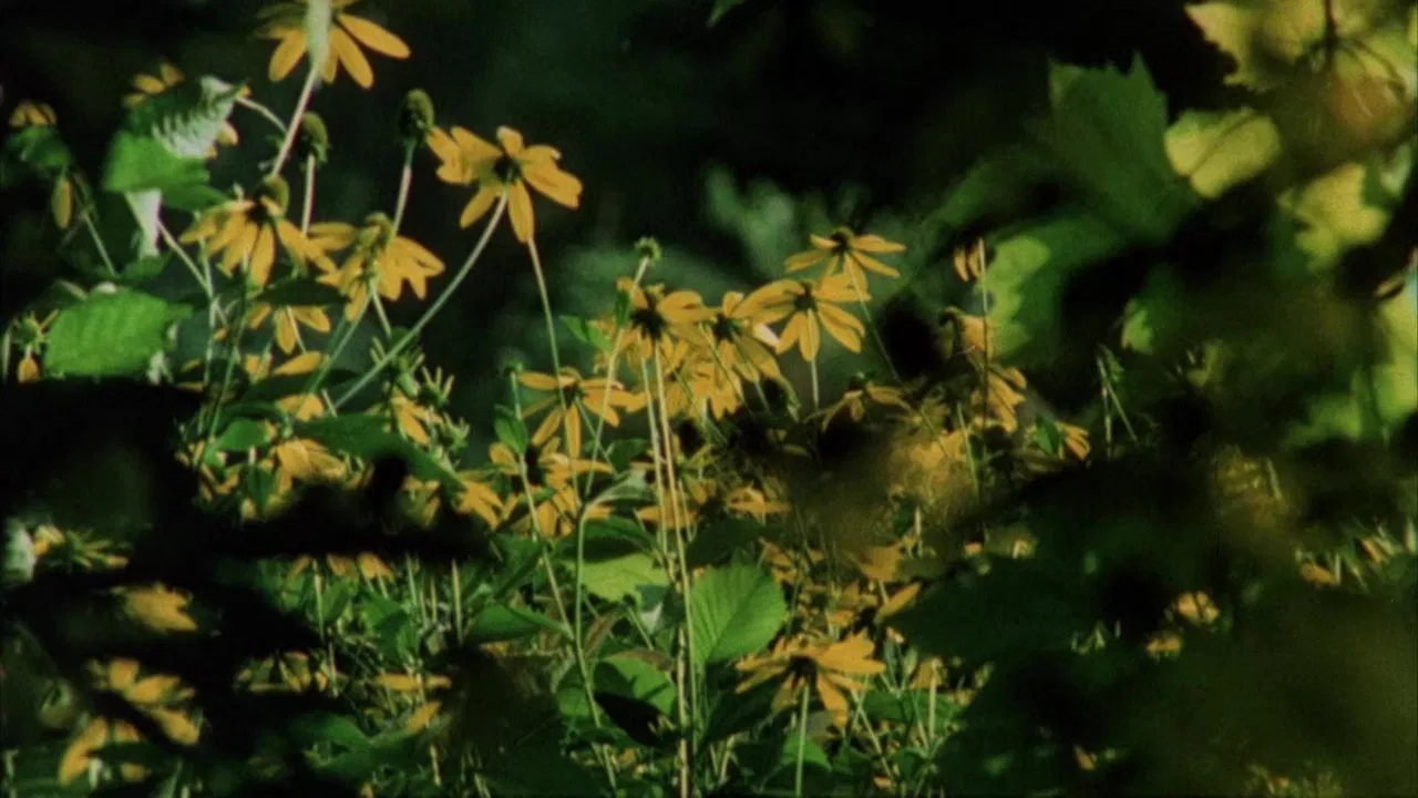 Private Vices, Public Virtues backdrop