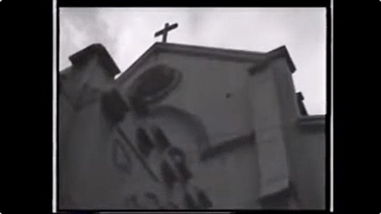 Flower Picking Diary backdrop