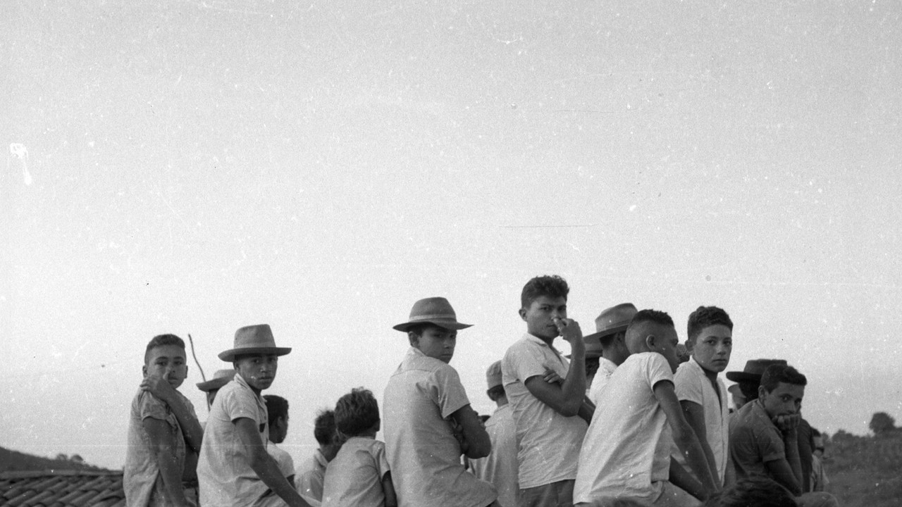 Absolute Majority backdrop