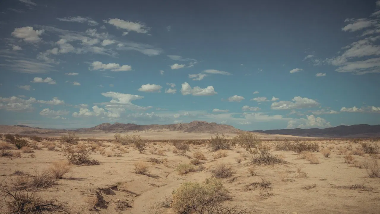 Fame in California backdrop